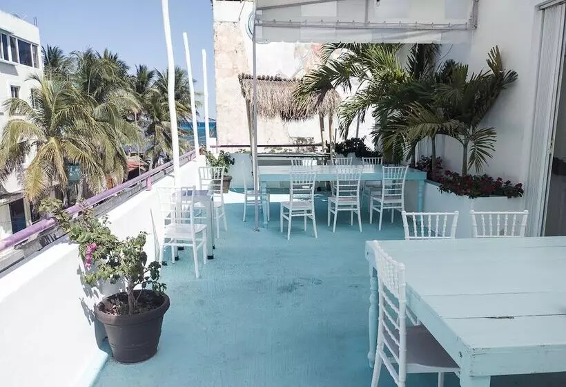ペンション Hostal Lezzoto 2.5 Beach   Hostel