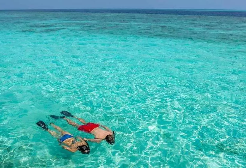 پانسیون Maavilu Thulusdhoo