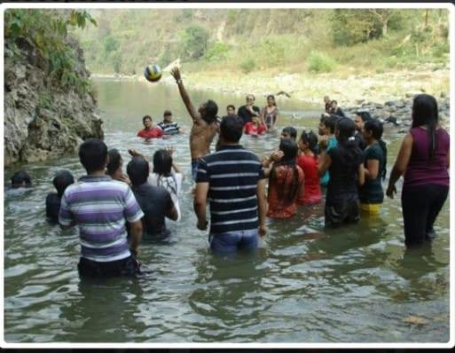 Treepie Resort By Twc S