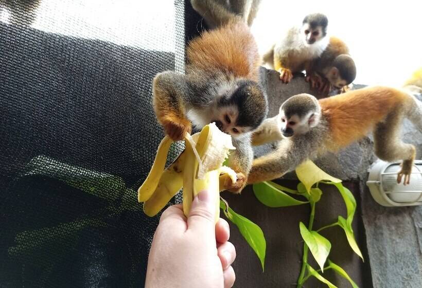 تختخواب و صبحانه Sunrise House