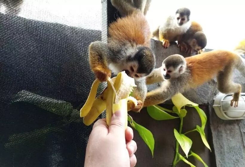 Aamiaismajoitus (B&B) Sunrise House