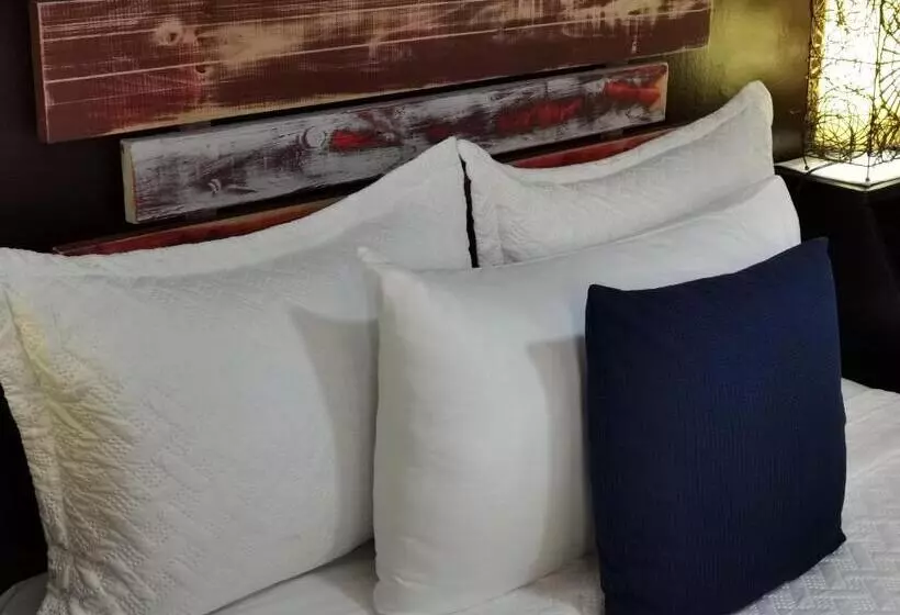 Aamiaismajoitus (B&B) Sunrise House