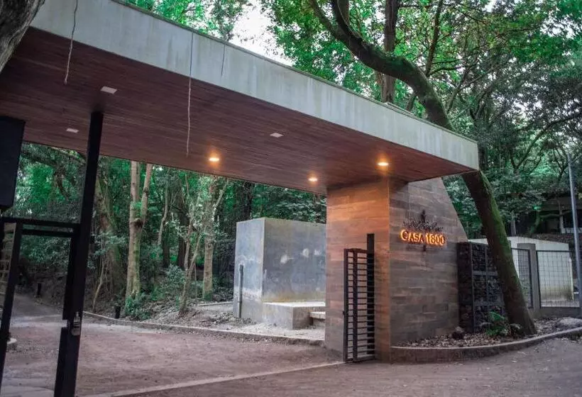 Hotelli Casa 1800 Cerro Verde