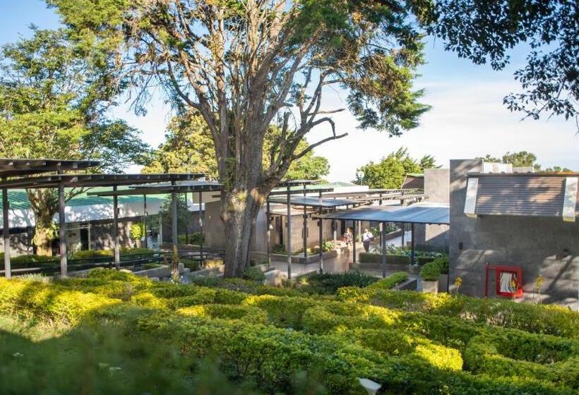 فندق Casa 1800 Cerro Verde