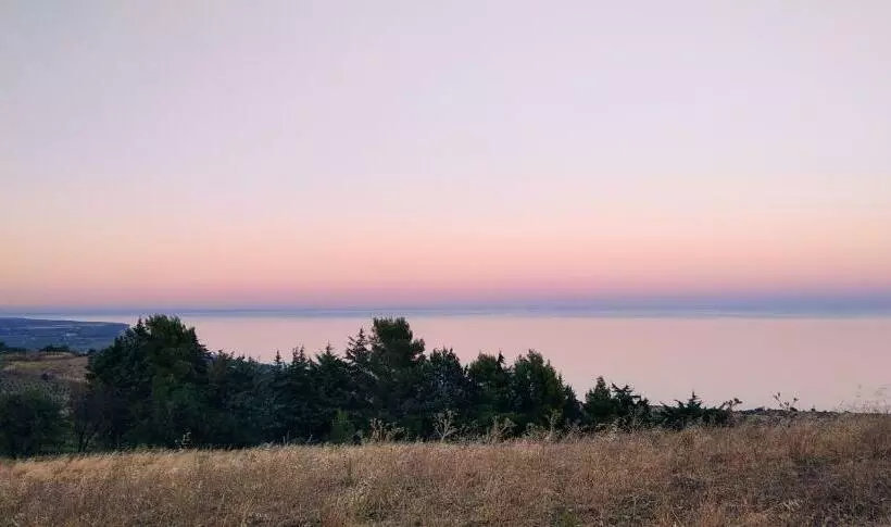 Hotelli Tenuta Rara Avis