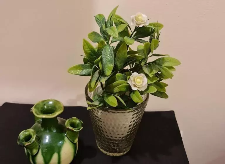 هتل The Mandarin Inn