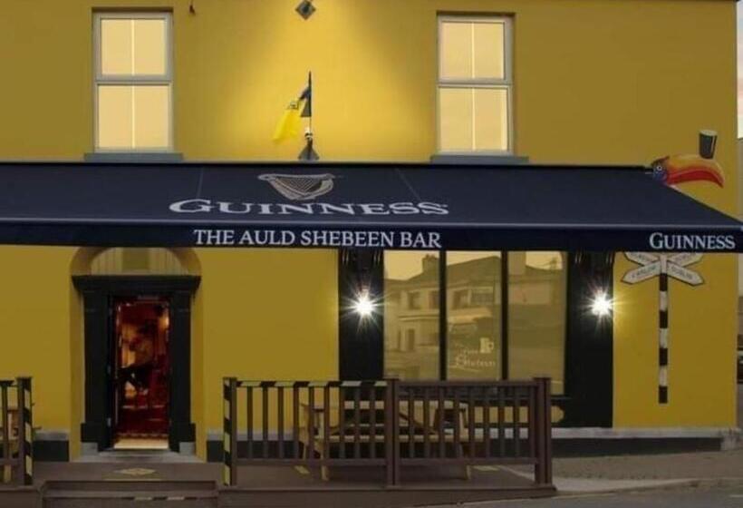 The Canalside B&b At The Auld Shebeen Bar