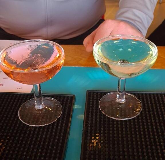 The Canalside B&b At The Auld Shebeen Bar