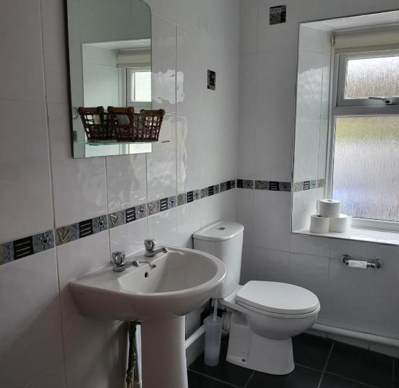 Общежитие The Ancient Briton