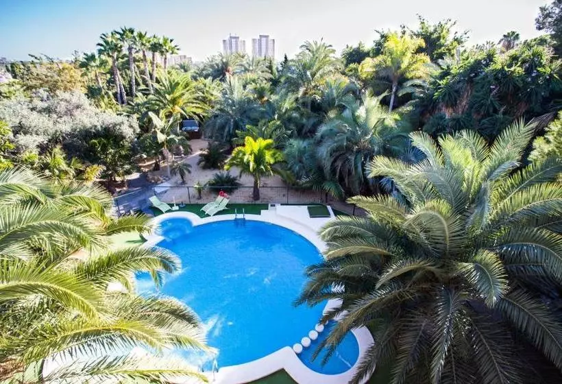 Apartamentos El Palmeral De Madaria