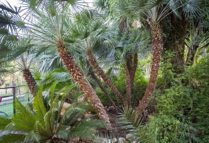 Apartamentos El Palmeral De Madaria