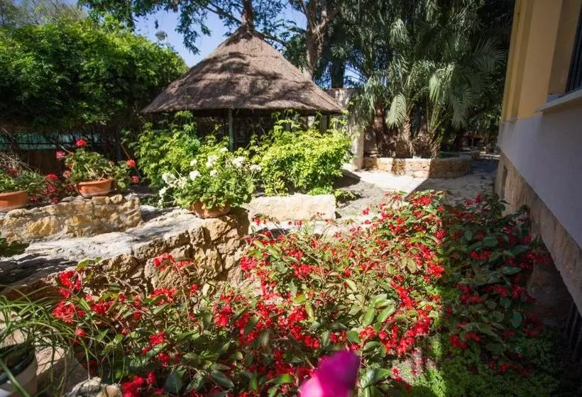 Apartamentos El Palmeral De Madaria