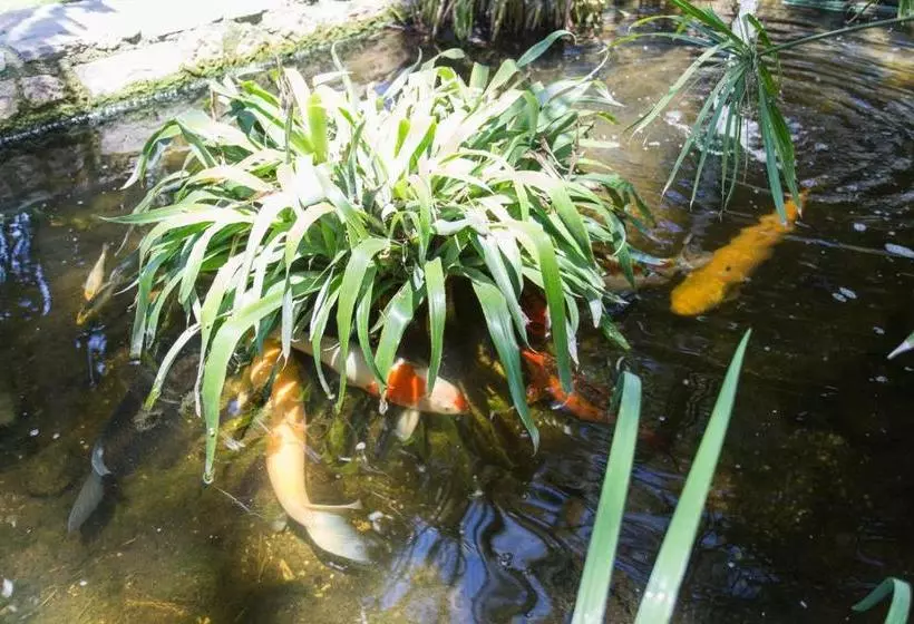 Apartamentos El Palmeral De Madaria