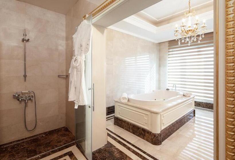 فندق Crowne Plaza Istanbul Asia, An Ihg