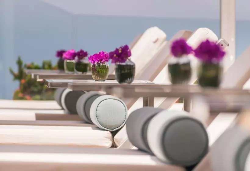 בית מלון כפרי Grand Miramar All Luxury Suites & Residences