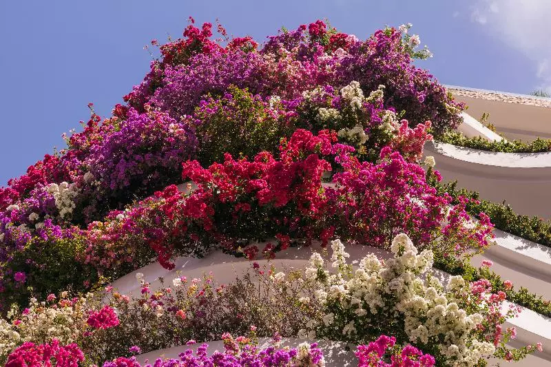 בית מלון כפרי Grand Miramar All Luxury Suites & Residences