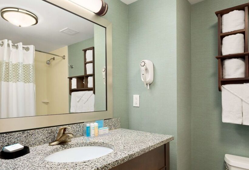 فندق Hampton Inn & Suites Birmingham/280 Easteagle Point