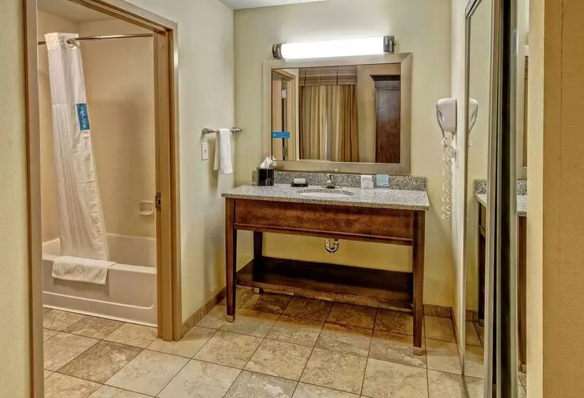 Otel Hampton Inn & Suites Birmingham/280 Easteagle Point