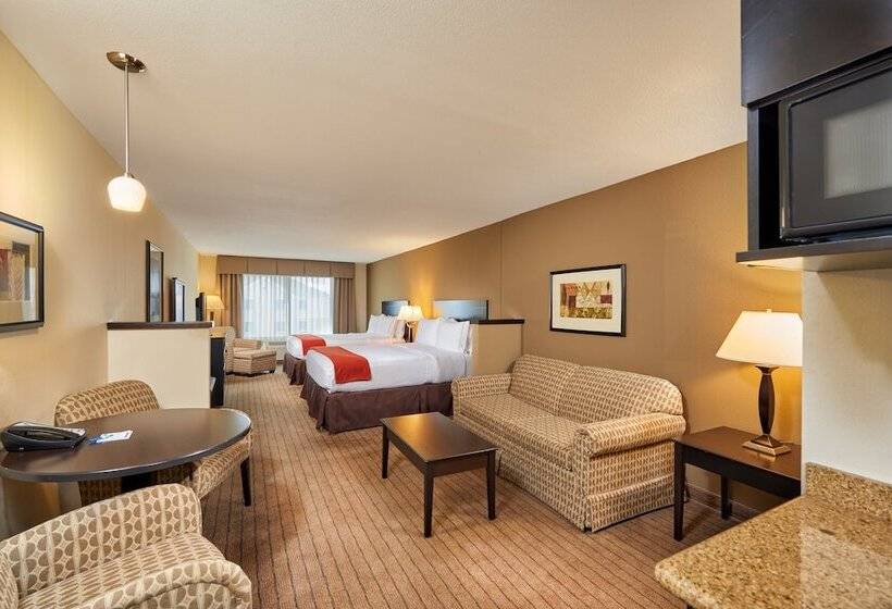 فندق Holiday Inn Express & Suites El Paso Airport, An Ihg