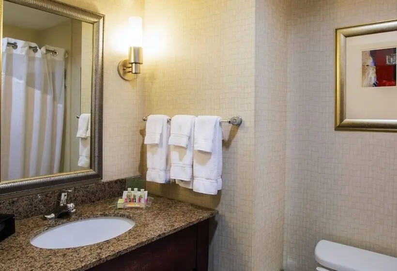 هتل Holiday Inn Oklahoma City Airport