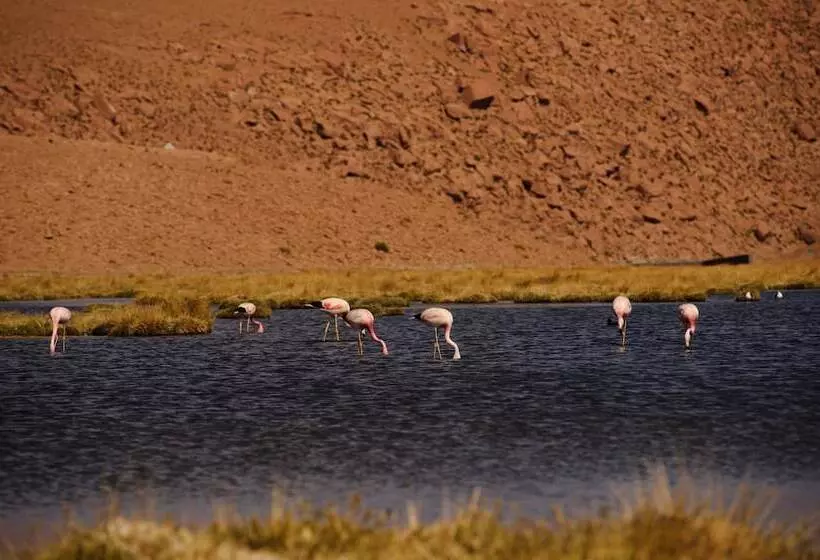 호텔 Noi Casa Atacama