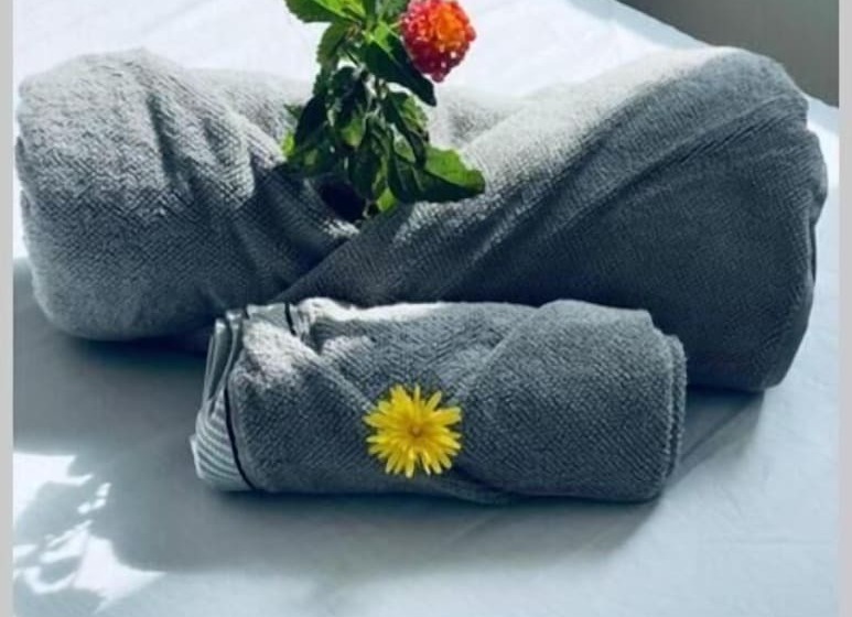 酒店 Mimose Beach Village