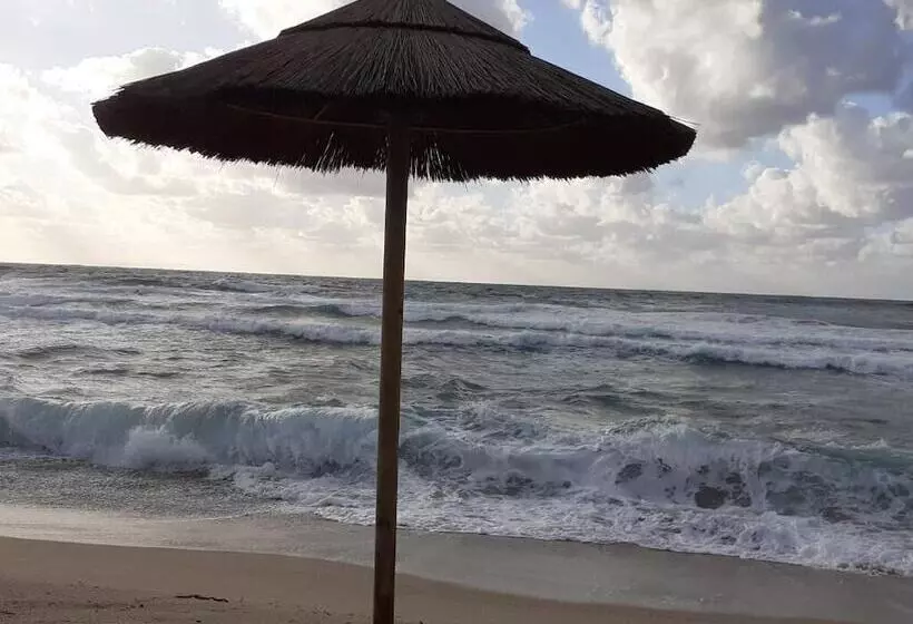 Szálloda Mimose Beach Village