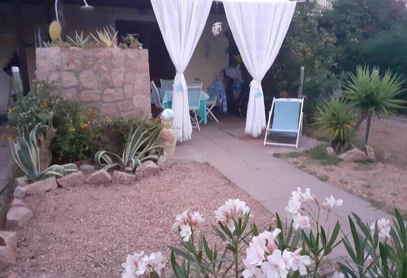 酒店 Mimose Beach Village