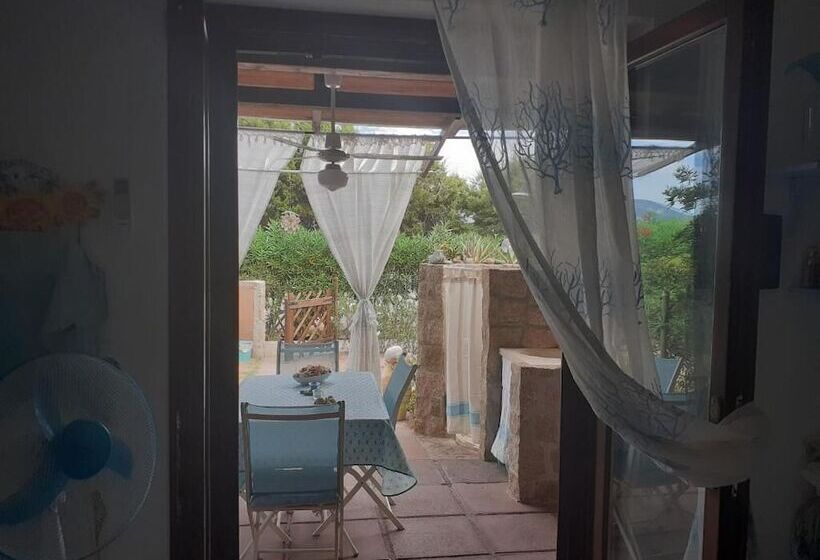 酒店 Mimose Beach Village