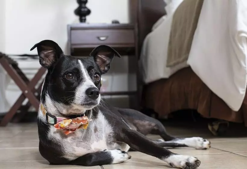 Отель Villa Los Candiles