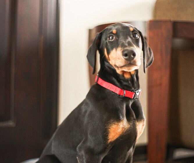 فندق Villa Los Candiles