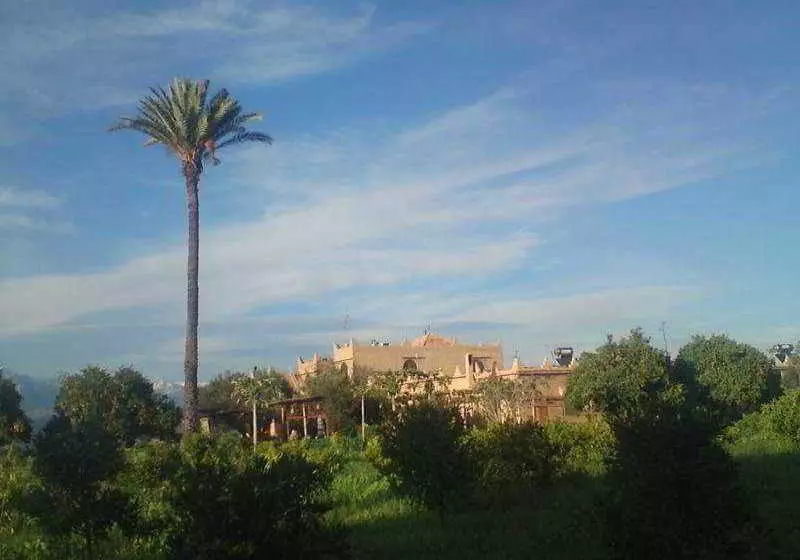 Riad El Aissi