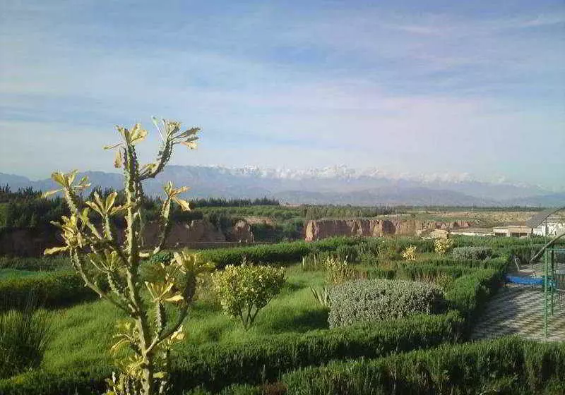 Riad El Aissi