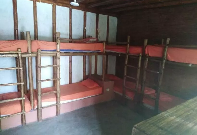 Bed & Breakfast Saigon Backpackers Hostel