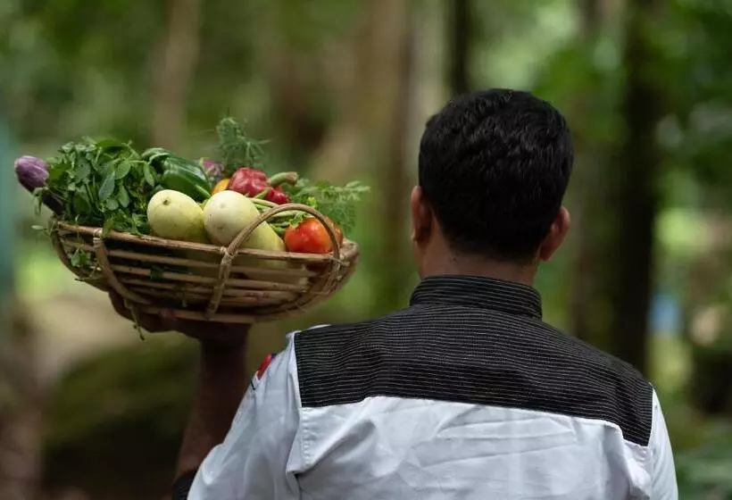 Hotelli Moksha At Kitulgala   Rainforest Boutique