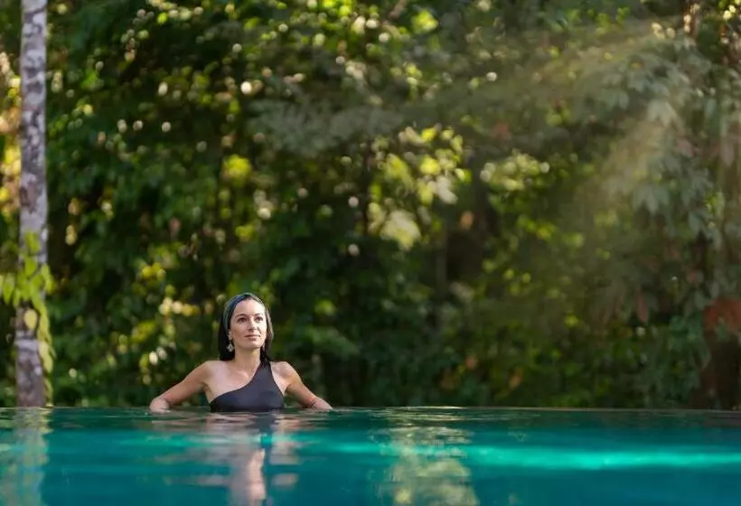 Hotelli Moksha At Kitulgala   Rainforest Boutique