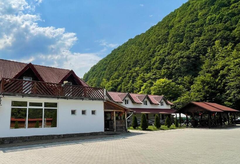 Отель Pensiunea Dany