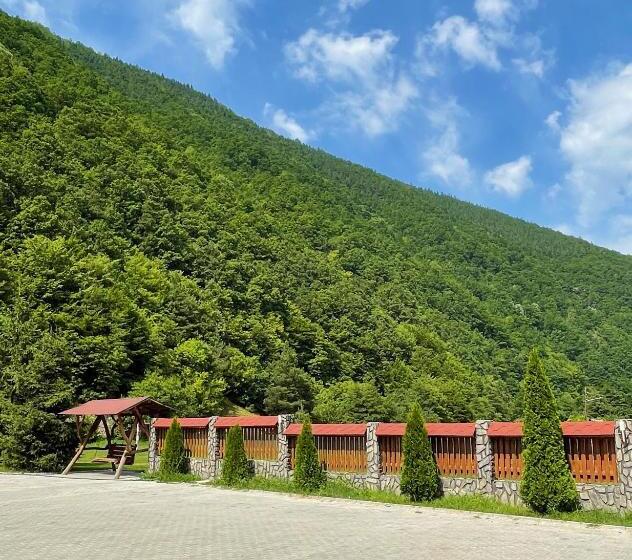 Отель Pensiunea Dany