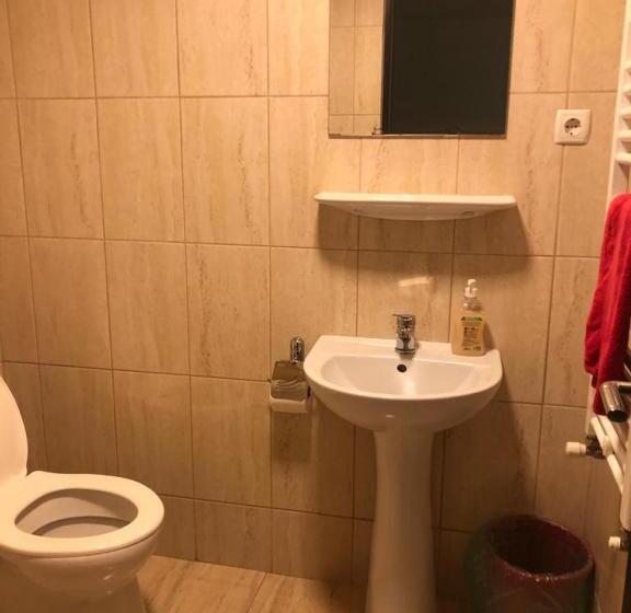 Отель Pensiunea Dany