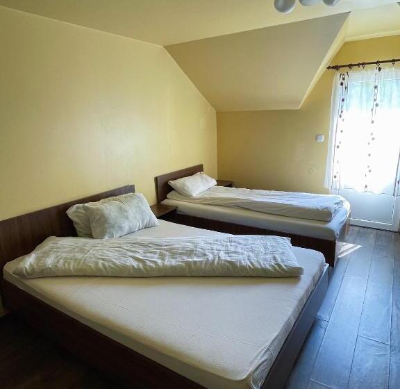 Отель Pensiunea Dany