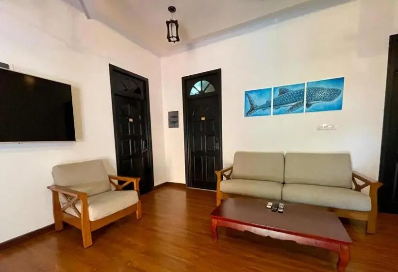 پانسیون Shark Lounge