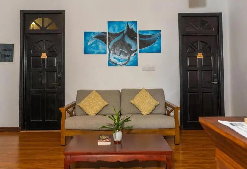 پانسیون Shark Lounge