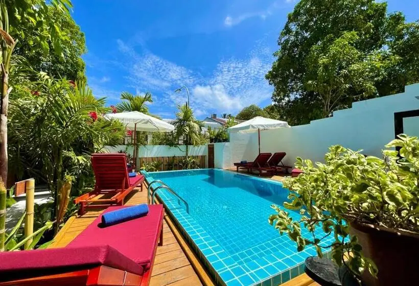 پانسیون Shark Lounge