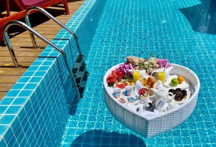 پانسیون Shark Lounge