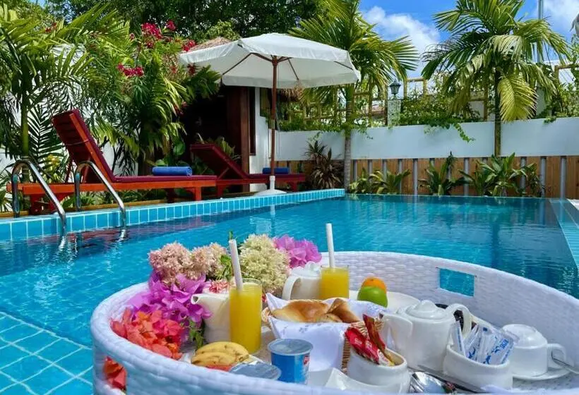 پانسیون Shark Lounge