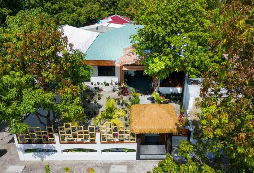 Pension Shark Lounge