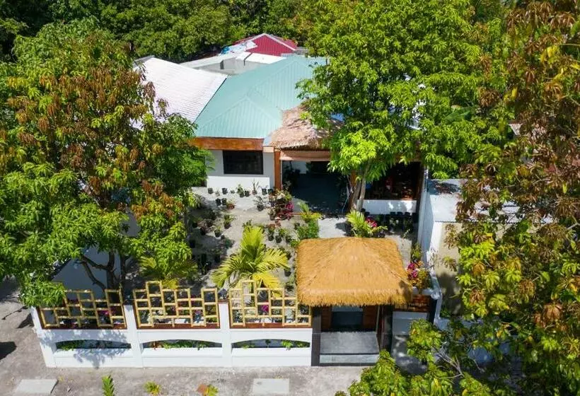 پانسیون Shark Lounge