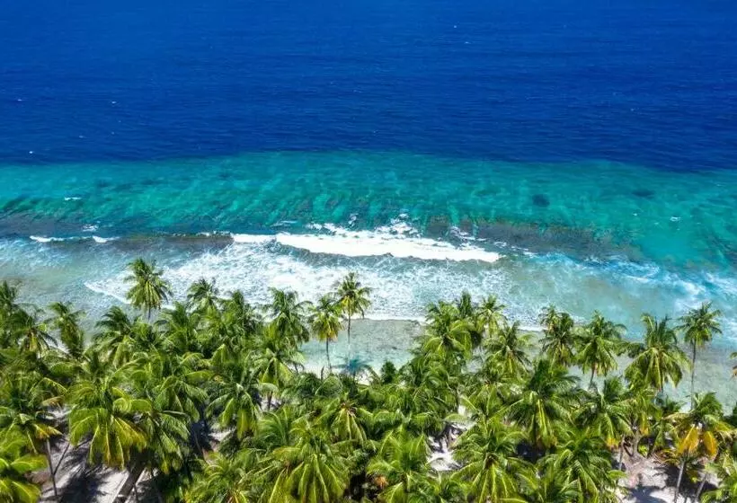 پانسیون Shark Lounge