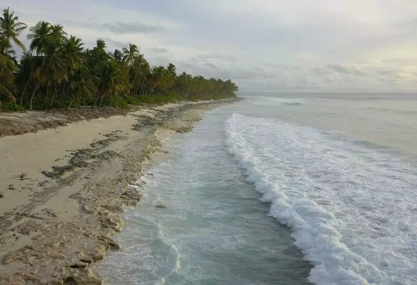 پانسیون Shark Lounge