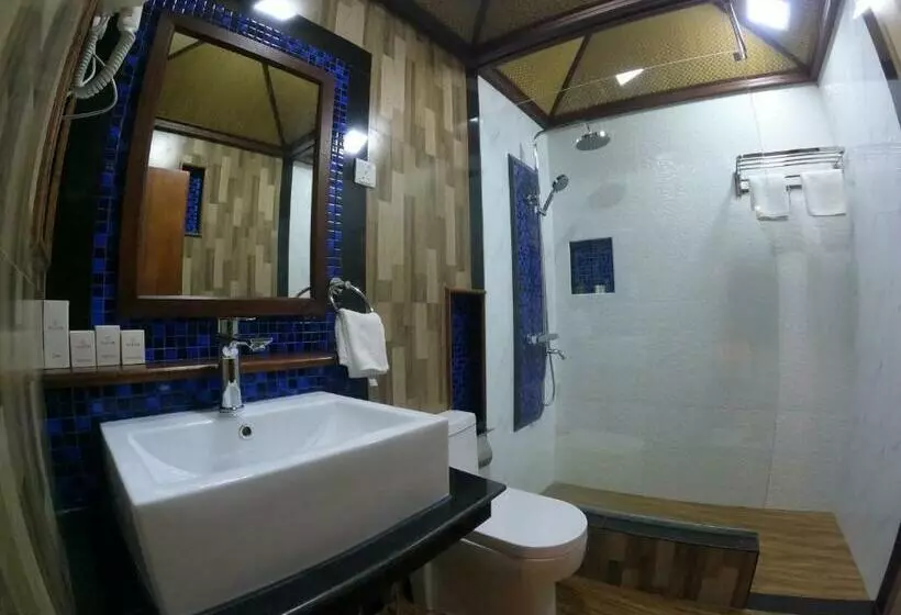 پانسیون Shark Lounge